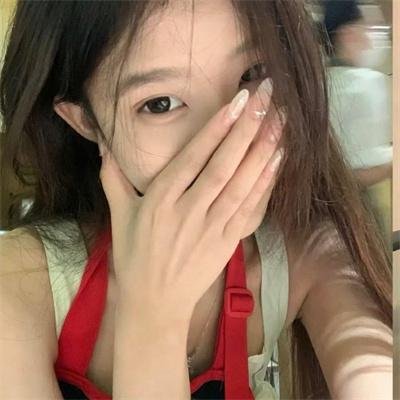 当哈维遇见鲍勃