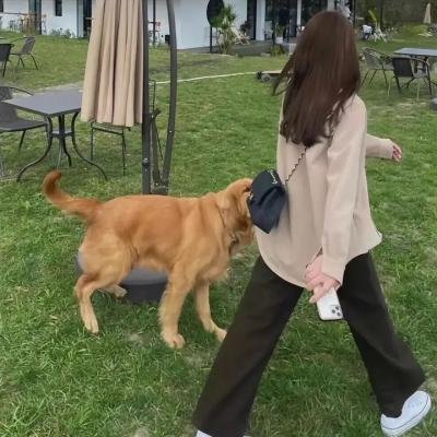 儍瓜艳福
